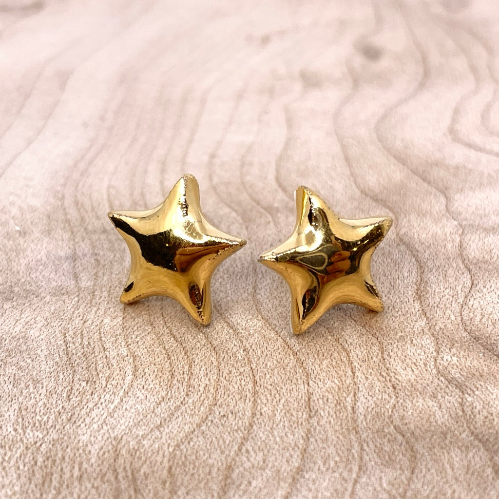 Full Luster Star Stud Earrings (22K Gold layer)