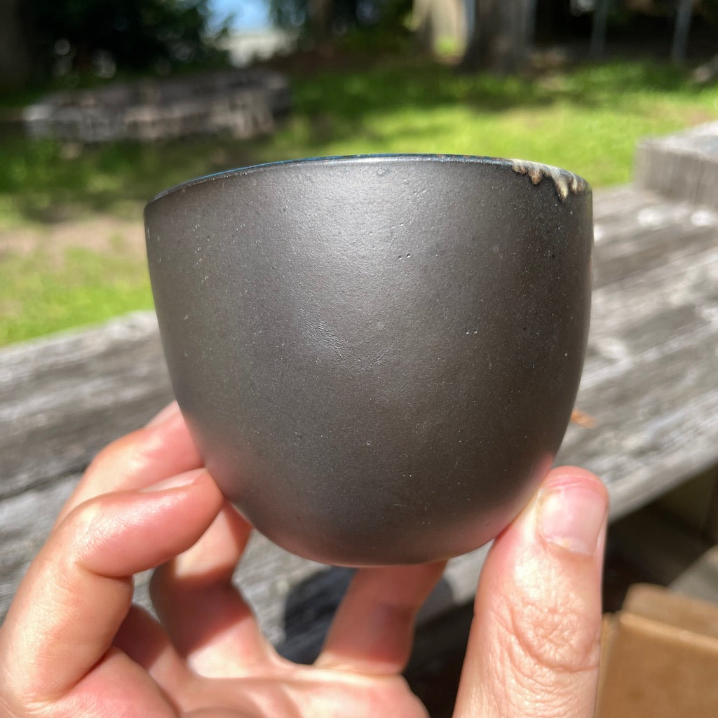 Wood Fired #18 Solid Black & Glaze Variations
