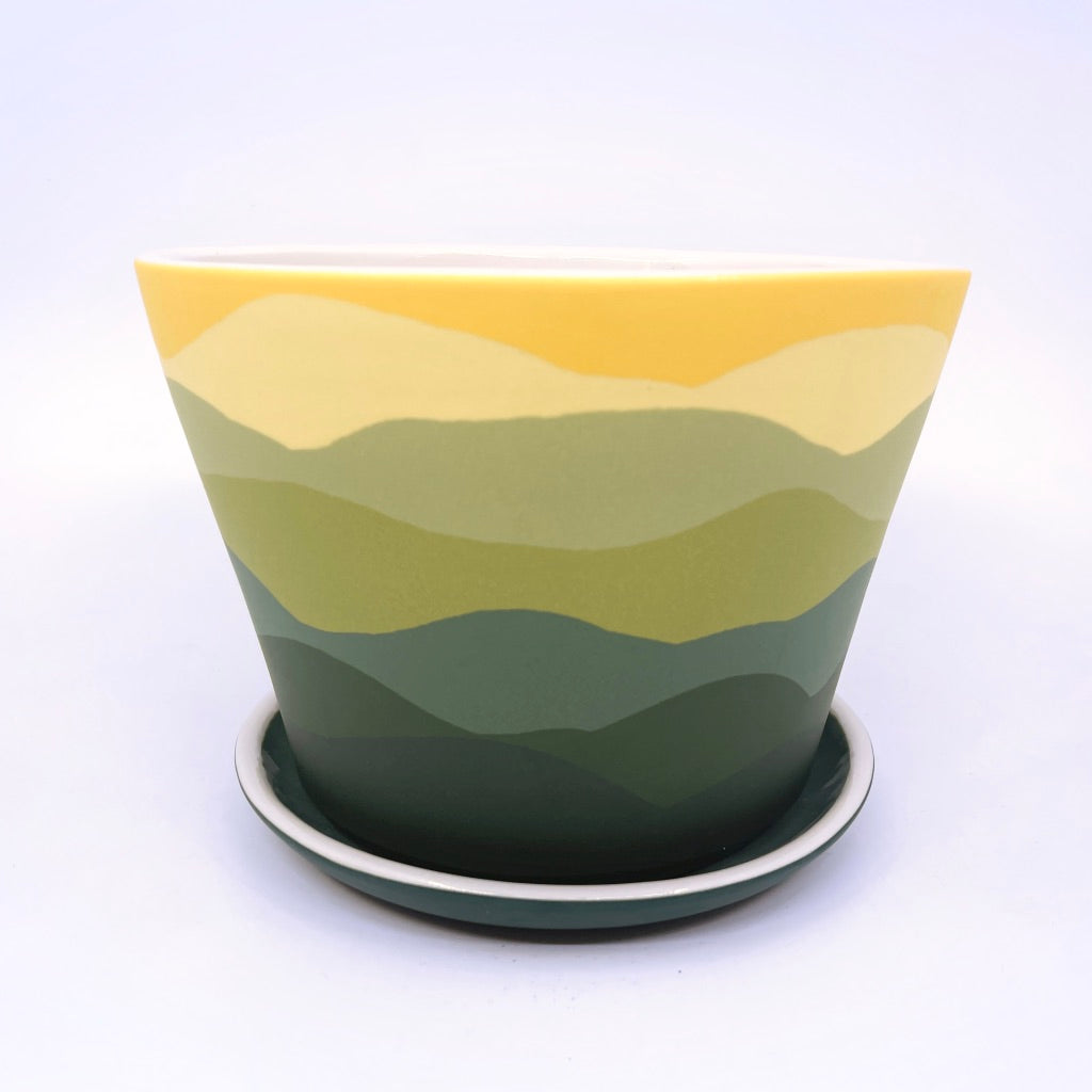 Daffy Horizon Large Planter *Preorder ship in 4-6 weeks*