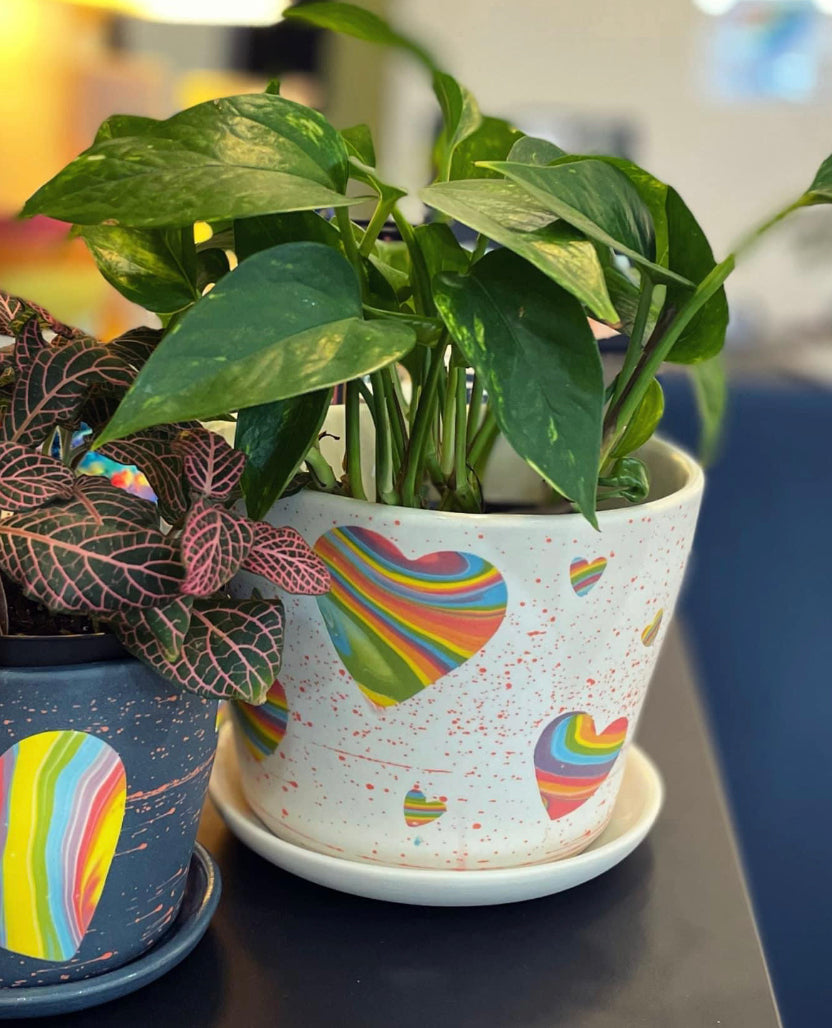 *Preorder* Hybrid Love PINT (White)- Marbled 5-layer, Large Cosmic love planter