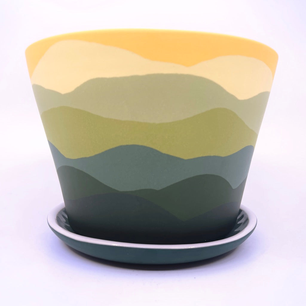 Daffy Horizon Large Planter *Preorder ship in 4-6 weeks*